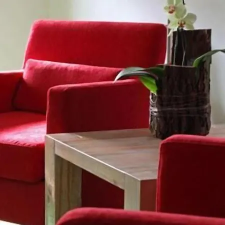 Hotel-restaurant Adler 4* Lahr (Baden-Wurttemberg)