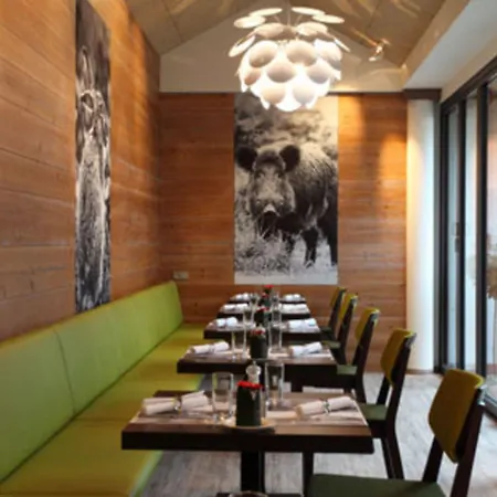 Ξενοδοχείο Hotel-restaurant Adler 4*