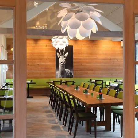 Hotel-restaurant Adler Hotel 4*