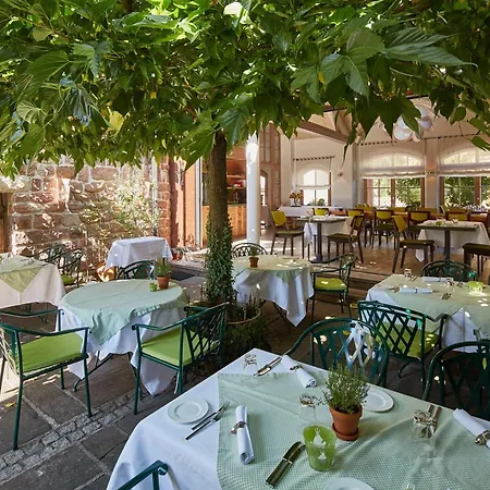 Hotel-restaurant Adler