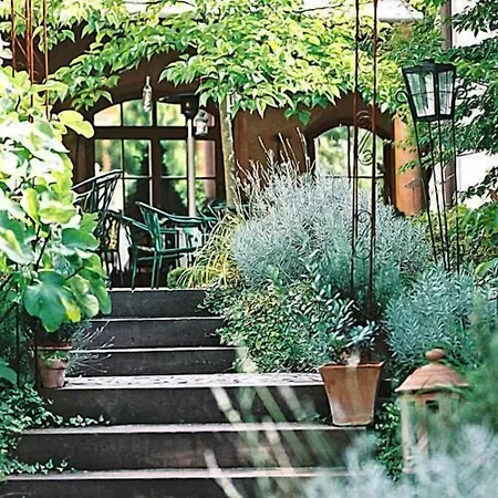 Hotel-restaurant Adler 4*