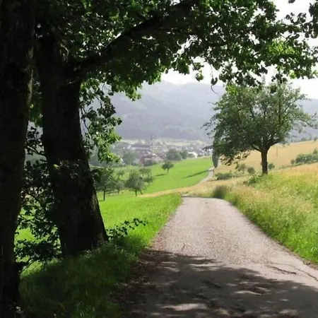 Hotel-restaurant Adler 4*