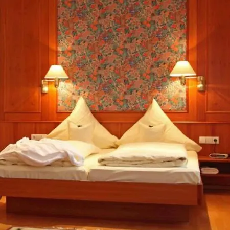 Hotel-restaurant Adler Hotel 4*