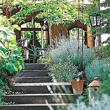 Hotel Hotel-restaurant Adler 4*