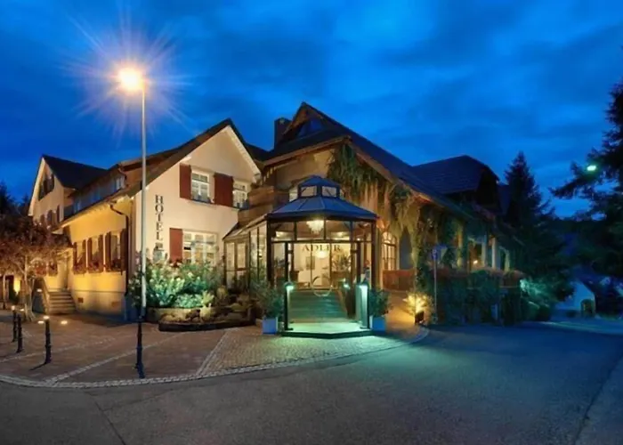 Hotel Hotel-restaurant Adler 4*