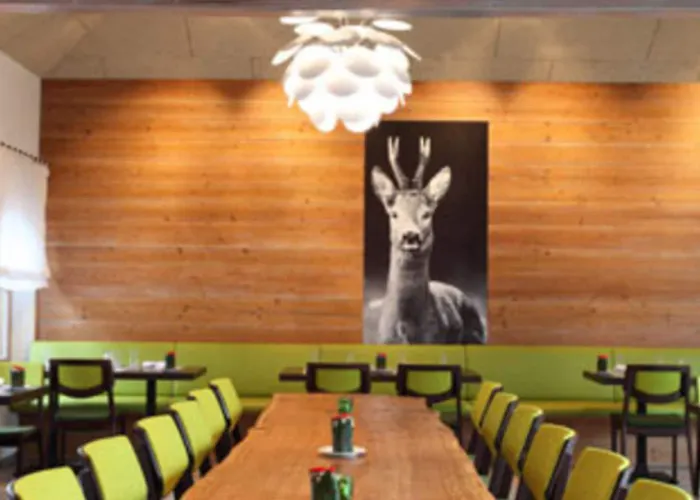 Hotel Hotel-restaurant Adler 4*