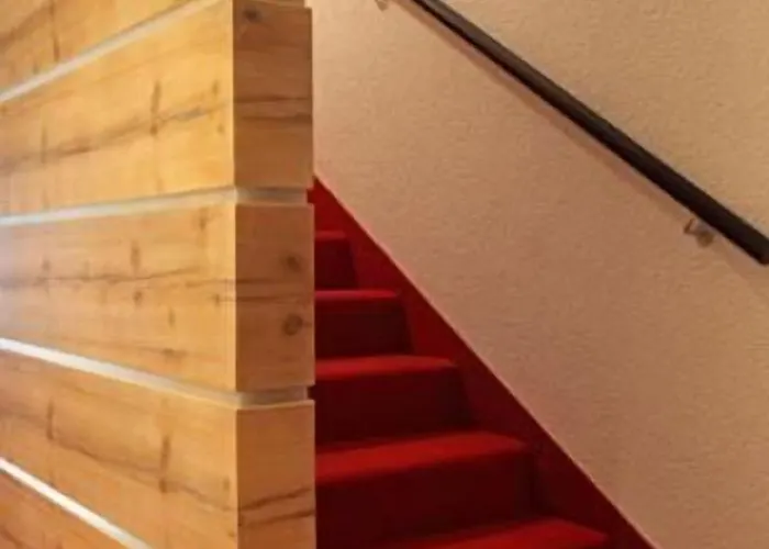 Hotel-restaurant Adler 4*