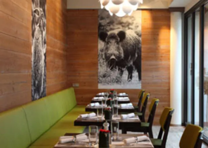 Hotel Hotel-restaurant Adler 4*