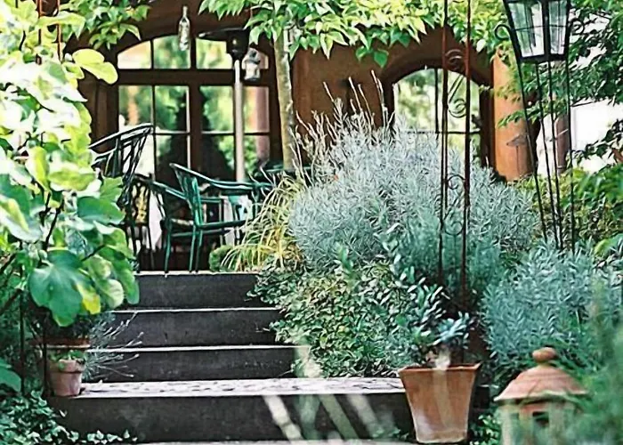 Hotel-restaurant Adler 4*