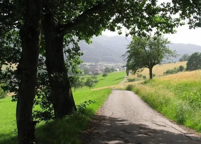 Hotel-restaurant Adler 4*