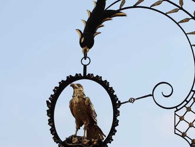 Hotel-restaurant Adler Hotel 4*